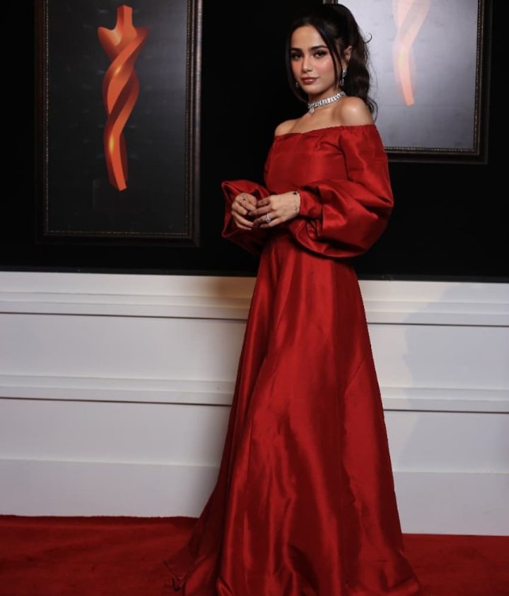 HUM style awards 2021 Pakistani celebrities spotted in revealing