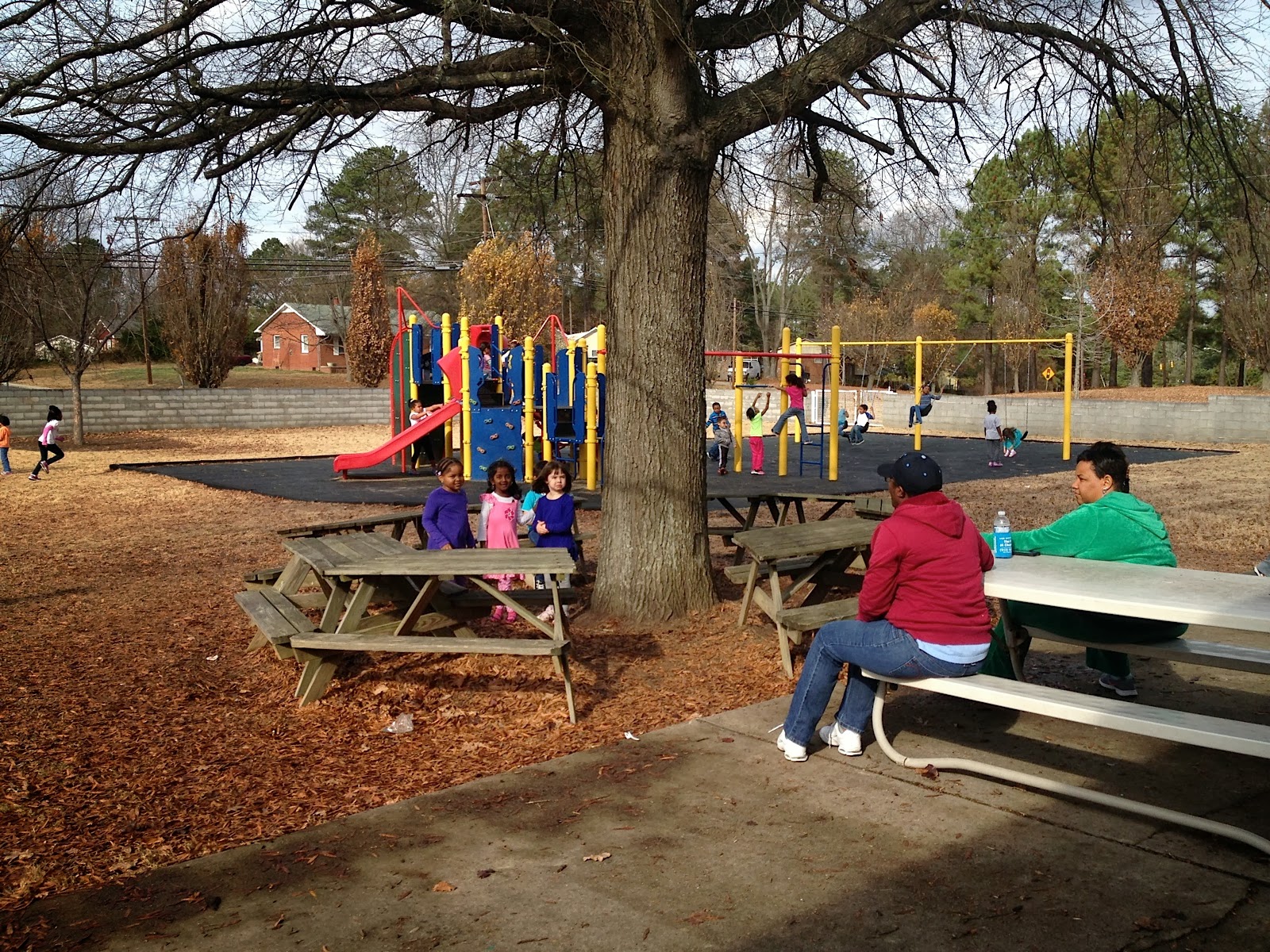 The Stir Crazy Moms' Guide to Durham: School Information Series