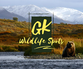 GK Wild life GK Wild life