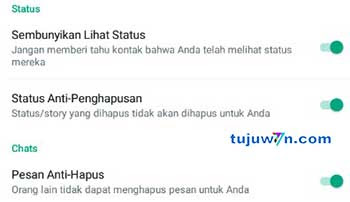 cara aktivasi setelan anti hapus pesan di whatsapp biasa