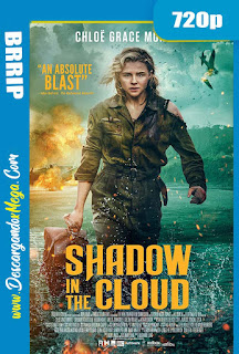  Shadow in the Cloud (2021) 