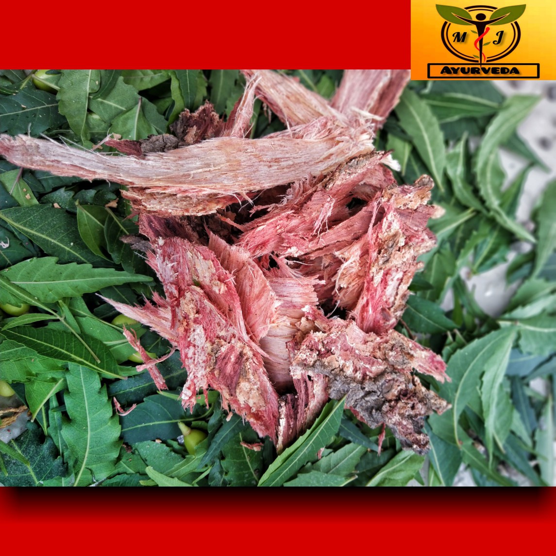 Medicinal Importance Of Neem Tree.