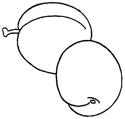 Menta Más Chocolate - RECURSOS y ACTIVIDADES PARA  