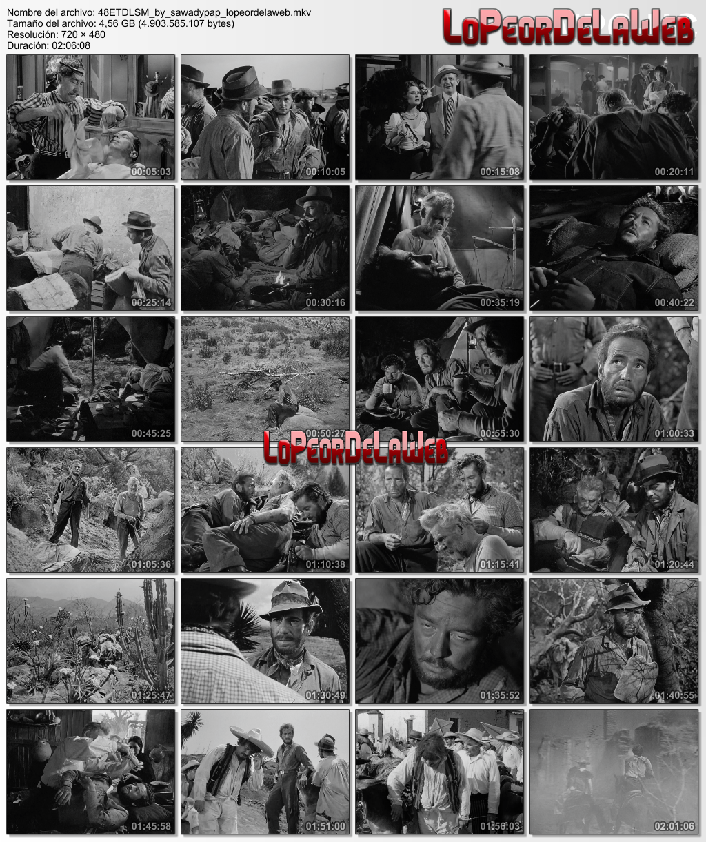 El tesoro de la Sierra Madre [1948] [DVDRip] [Latino]