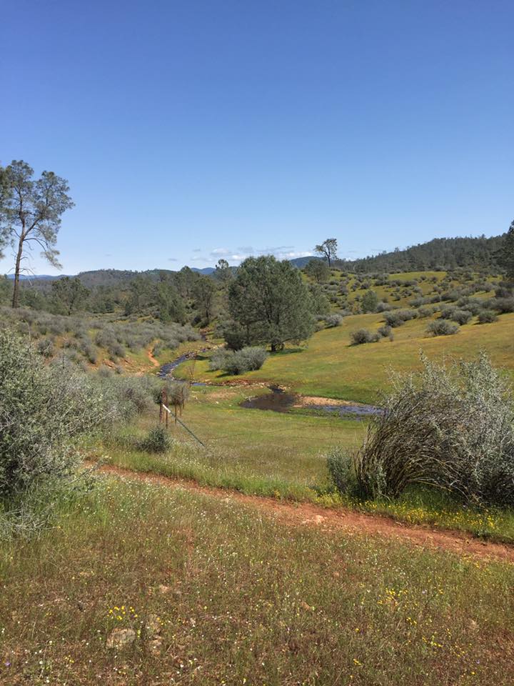 Tuolumne County Trailhead TCT 28 Brian Kermeen