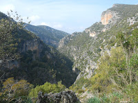 La Garganta Verde