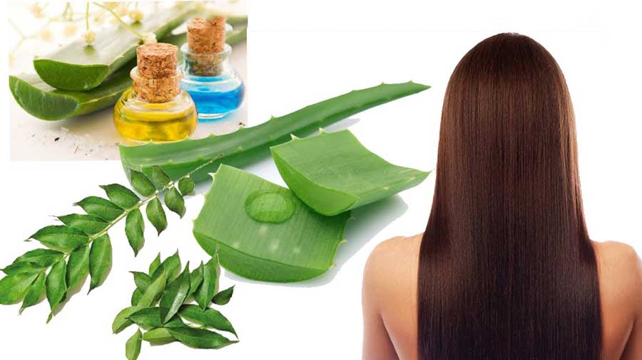 Best Health Tips Home Remedies For Hair Loss