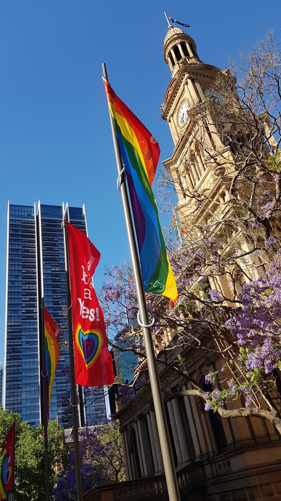 Sydney City and Suburbs Sydney Town Hall, banners