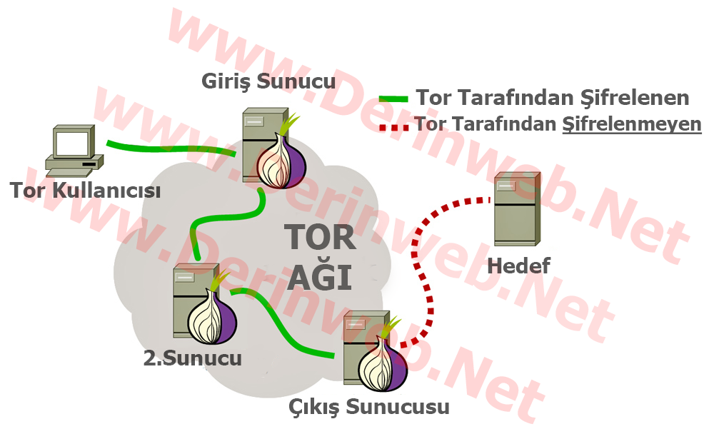 https://1.bp.blogspot.com/-by8XZ8OJwJ4/VNPsVYMD40I/AAAAAAAABd0/YmY4GkCXiIU/s1600/tor-structure.png