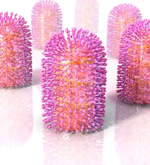 C0134703-Rabies_virus,_artwork-SPL.jpg
