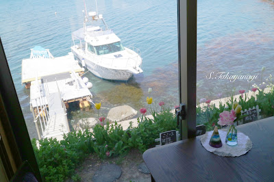 能登島　日本の風景　海とオルゴール　イルカ