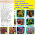 Paket Tanaman 10 Jenis