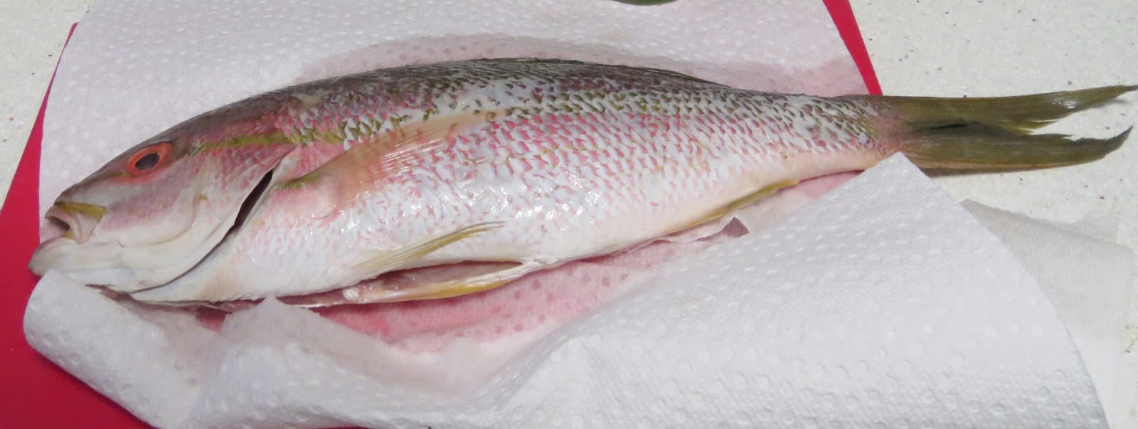 Mae's Food Blog Yellowtail Snapper with Moroccan Spice