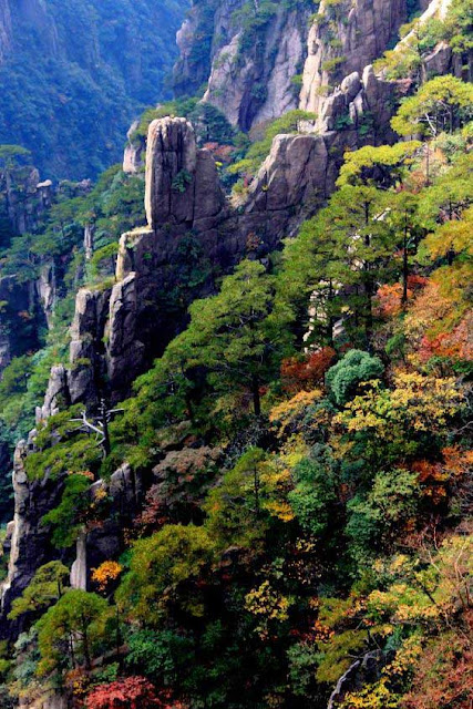 Huangshan Mountain, China 