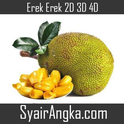 Erek Erek Nangka 2D 3D 4D Di Buku 1001 Mimpi - Syairangka.com
