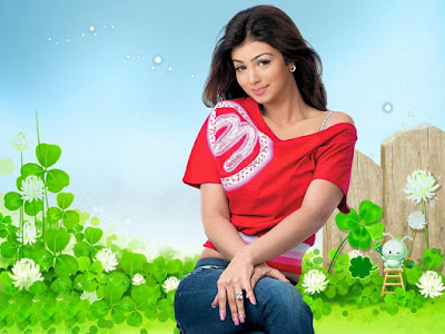 Ayesha Takia HD Wallpaper Ayesha Takia HD Wallpaper