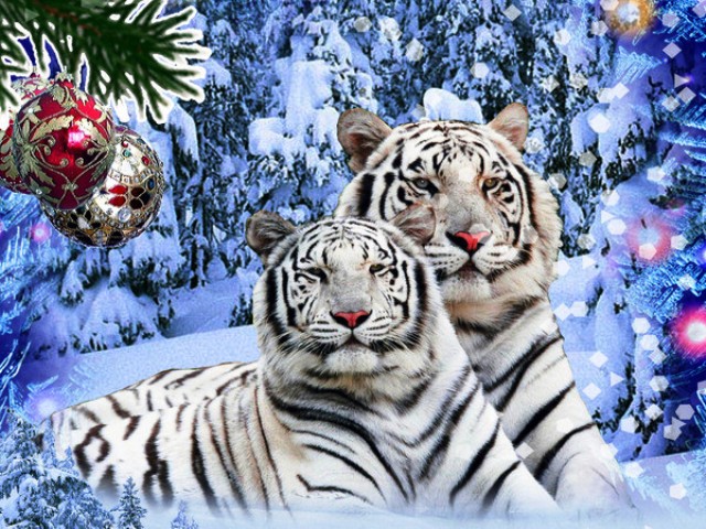 虎の新年のための素敵な絵
