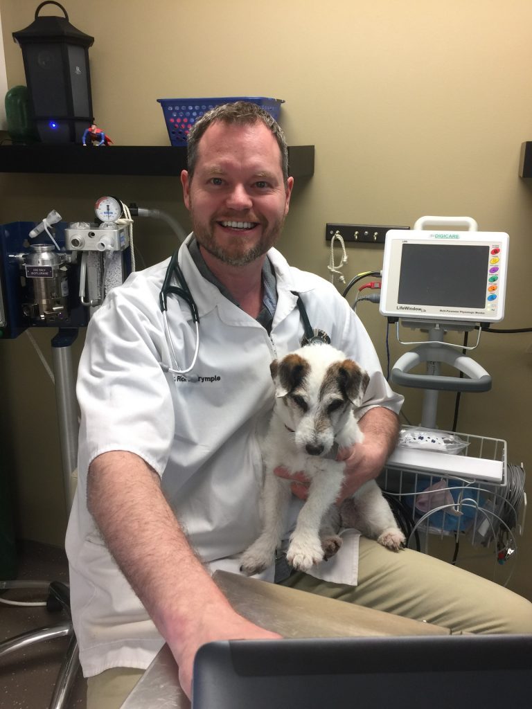 ABOUT VETERINARIAN OCCUPATION