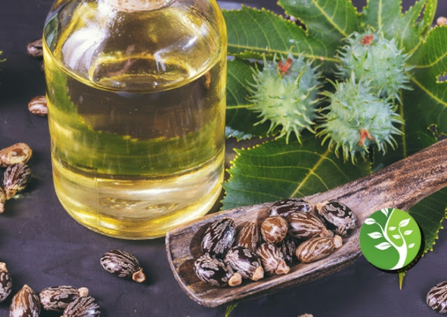 cómo usar el aceite de ricino para su belleza