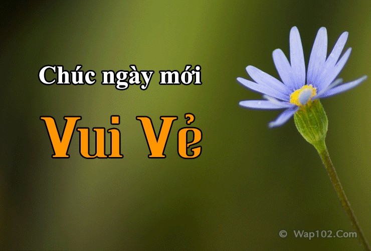 Chào ngày mới! Một ngày mới mẻ lại cho tới, hãy tiếp nhận nó với niềm tin tràn trề niềm tin cẩn và kỳ vọng. Hãy nằm trong coi những hình hình họa chúc ngày mới mẻ đảm bảo chất lượng lành lặn nhằm chính thức một ngày mới mẻ lênh láng ý nghĩa sâu sắc.