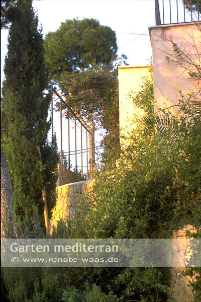 Gartenblog Zu Gartenplanung Gartenberatung Gartendesign Und