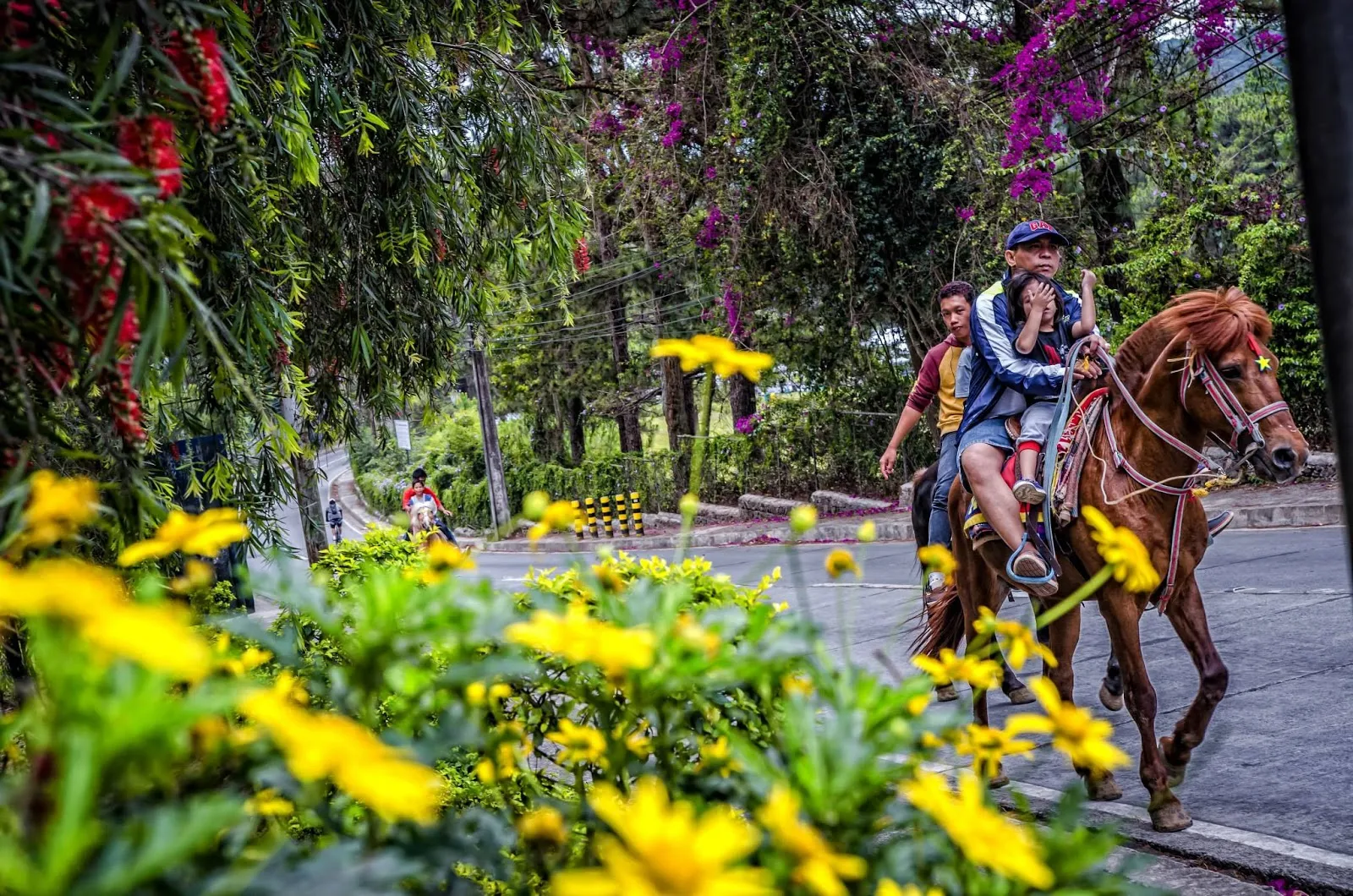 Baguio City Wright Horseback Riding Livelihood