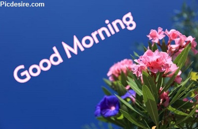 25+ Good morning wishes with Flowers Images
