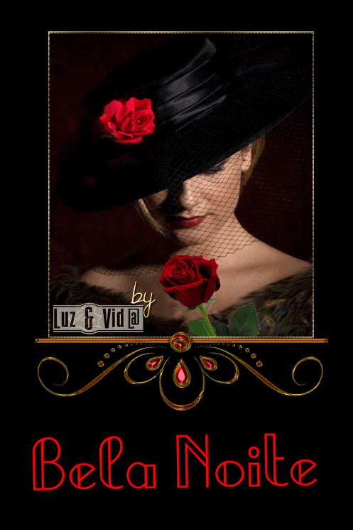 NOVO105-%2528MB%2529maryluz.gif