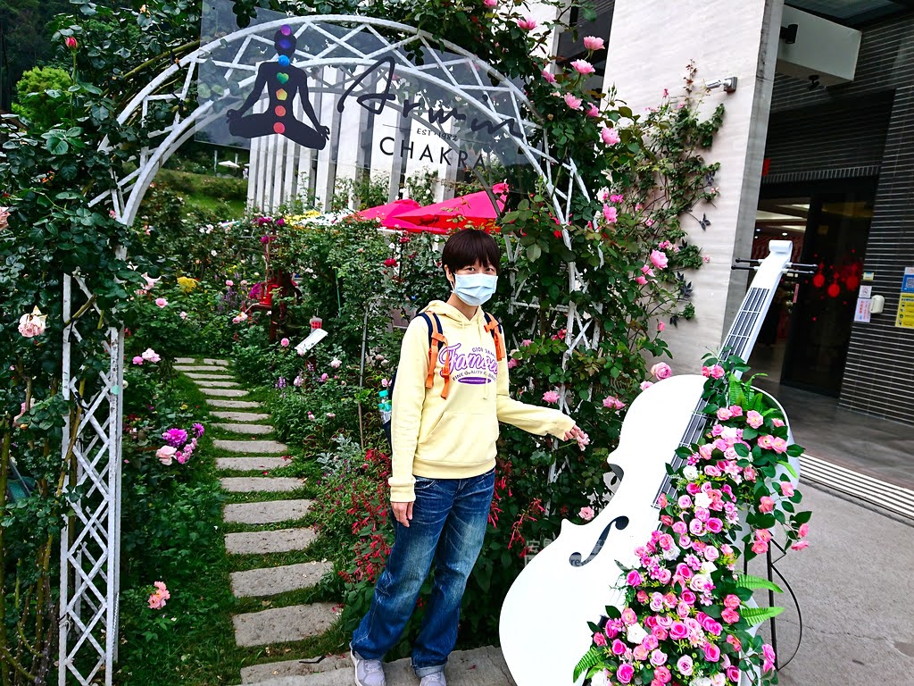 苗栗景點,雅聞七里香玫瑰森林,苗栗親子旅遊