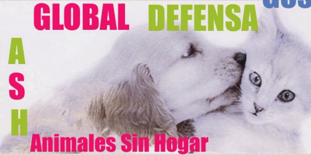 Global Defensa Animales Sin Hogar