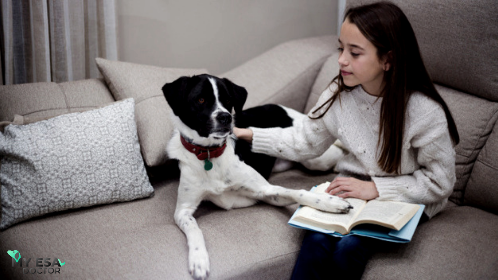 What if Your Landlord Does Not Let You Keep Your Emotional Support Animal?