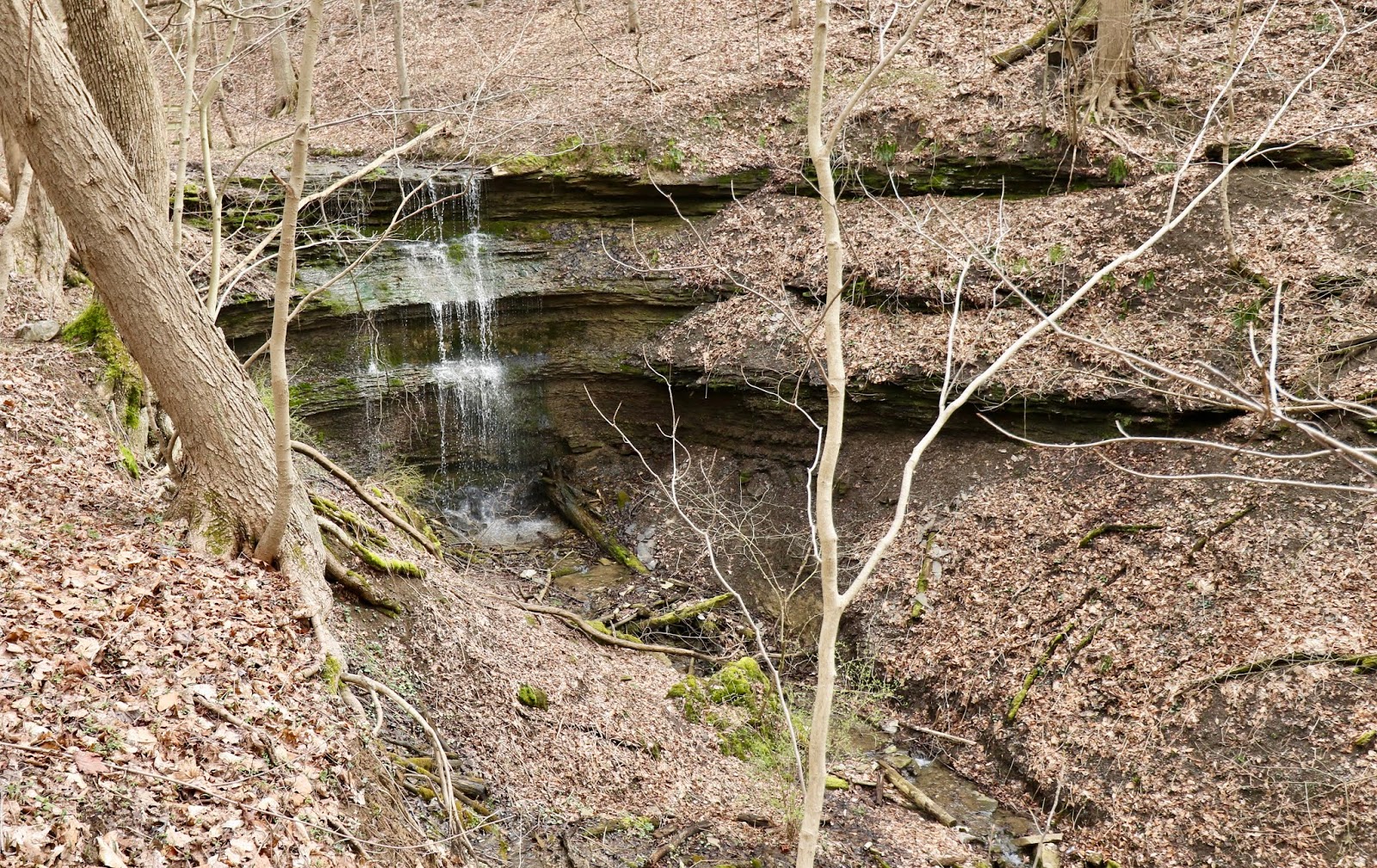 Braddock's Trail Park