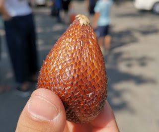Probamos nuevas frutas como esta, la fruta de la serpiente. Probamos nuevas frutas como esta, la fruta de la serpiente.