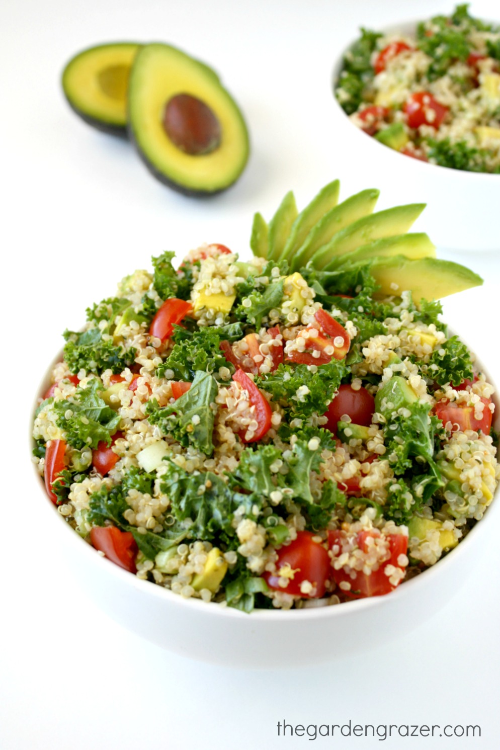 The Garden Grazer Quinoa Avocado Kale Power Salad