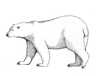 דפי צביעה דובי קוטב