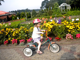 The Bunny Rabbit Chronicles Balonrad