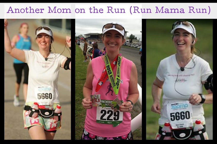 Another Mom on the Run    (Run Mama Run)
