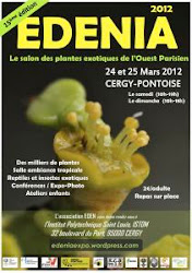 Edenia 2012