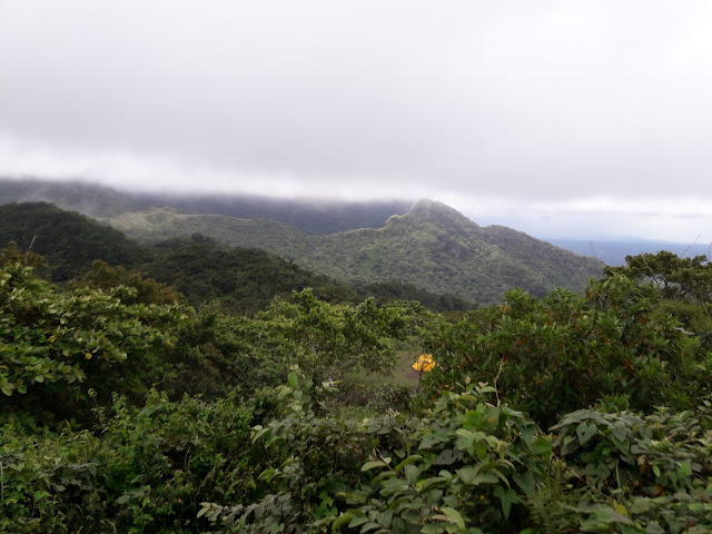 Mt. Susong Dalaga as seen from the clearing of Mt. Manabu