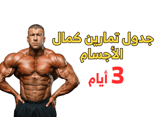 جدول تمارين كمال الأجسام 3 أيام