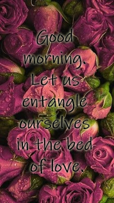 Best Good Morning Love Thoughts & Quotes