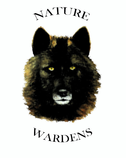Association Nature Wardens who are looking after animals and environnement chose as their new logo the black wolf portrait by French artist Laure Guymont