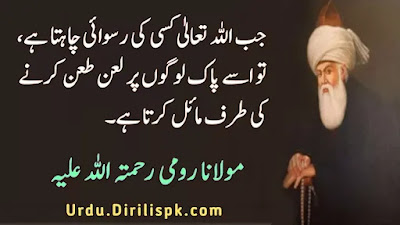 Rumi Quotes in Urdu