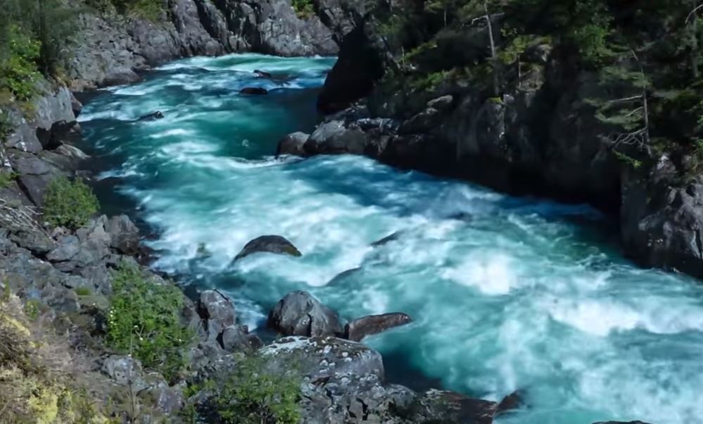 Who Is The Biggest Predator?