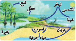 كتاب علم البيئة اول ثانوي مسارات