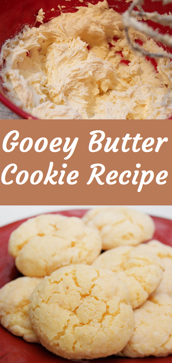Gooey Butter Cookie Recipe Easy Recipes