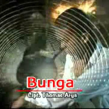 Lirik Dan Kunci Gitar Lagu Thomas Arya Bunga Cilacap Chord