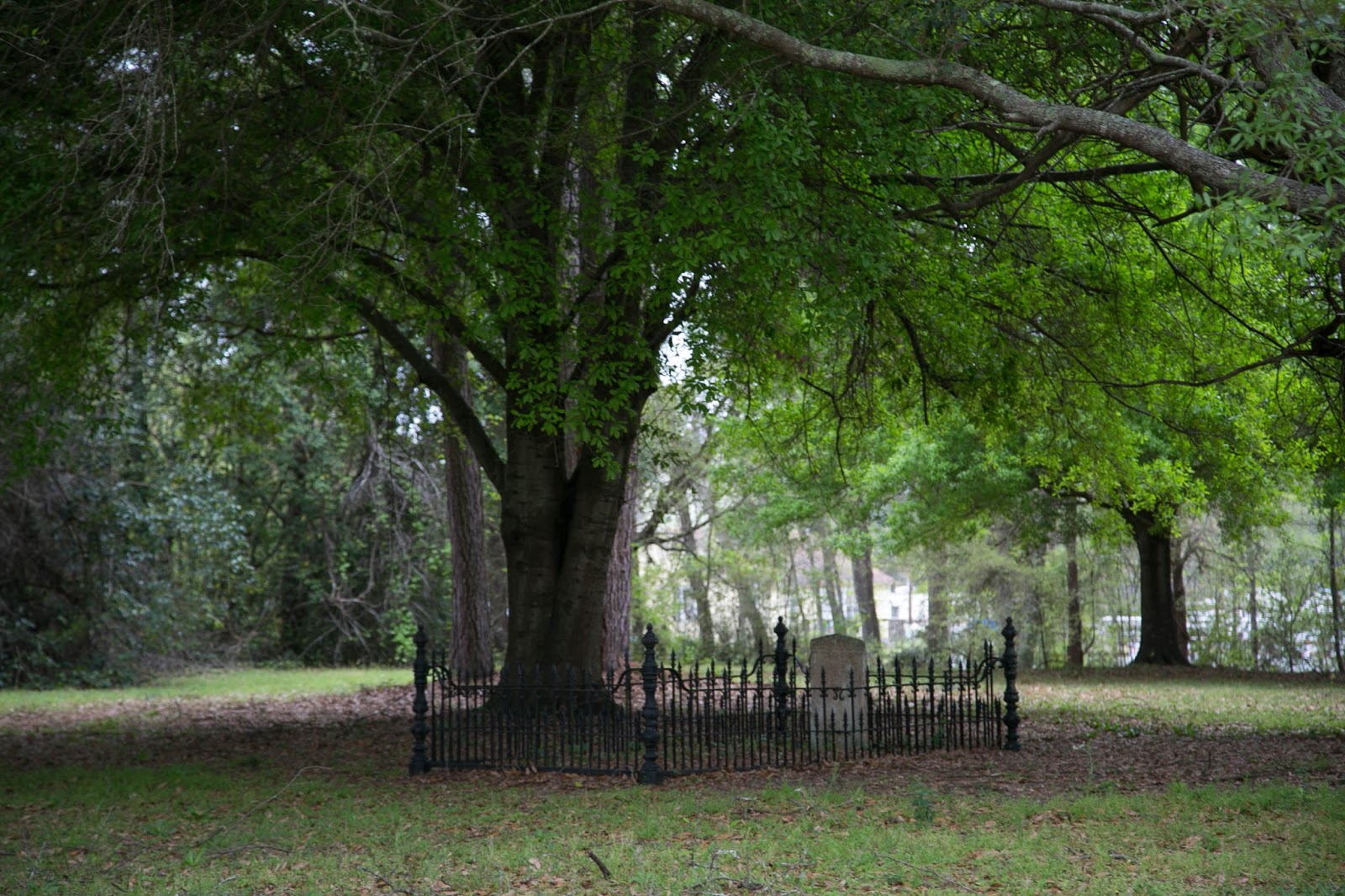 Charleston Daily Photo Eutaw Springs