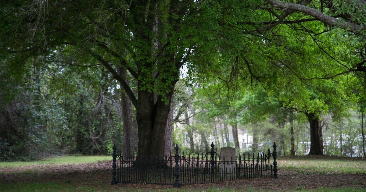 Charleston Daily Photo Eutaw Springs