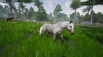 Horse Riding Deluxe 2 Game Screenshot 3